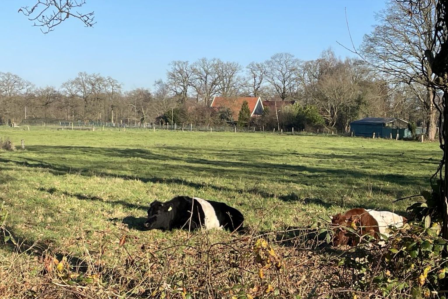 Zonder zon geen leven